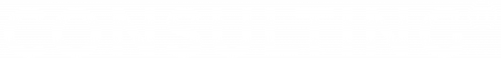 Consulting Logo weiß
